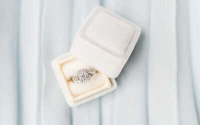 Portfolio Title goes here #1